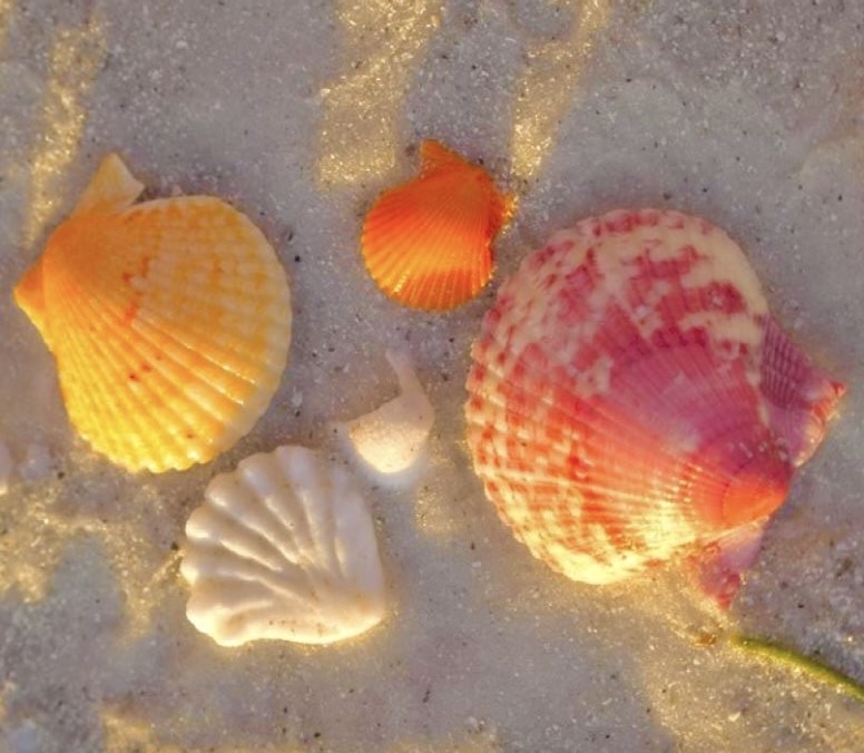 Turning up the Heat: Guide to a Perfect Summer Vacation