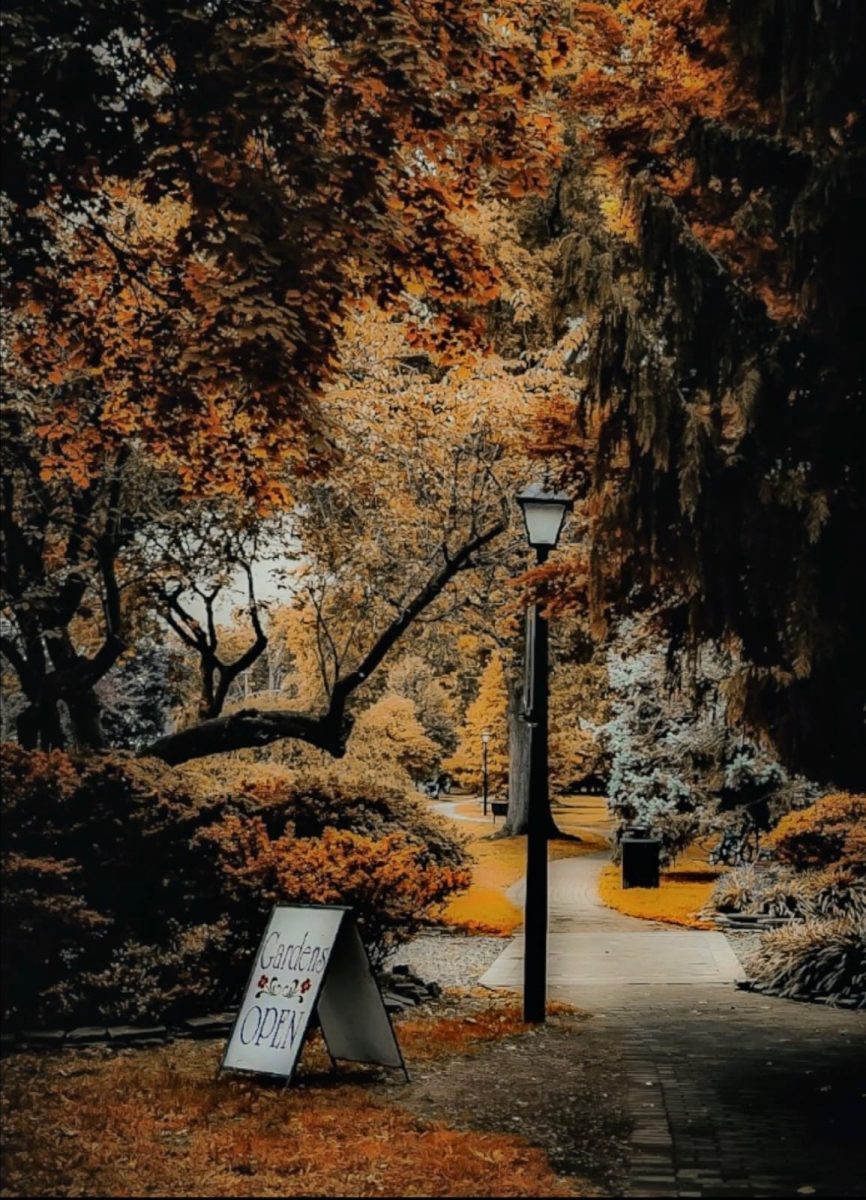 First Day of Autumn 2025!
